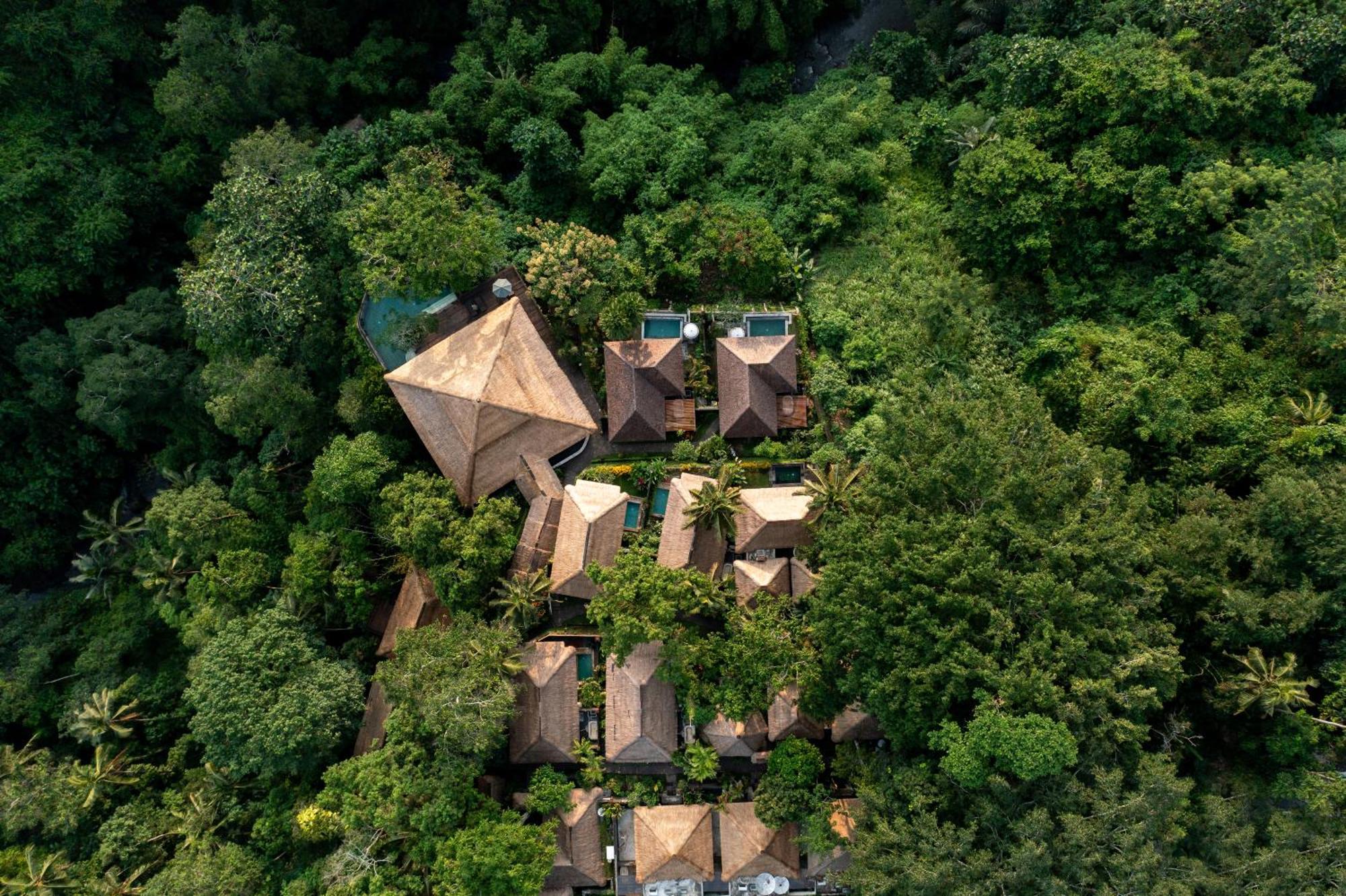 Natura Villa Ubud Eksteriør billede