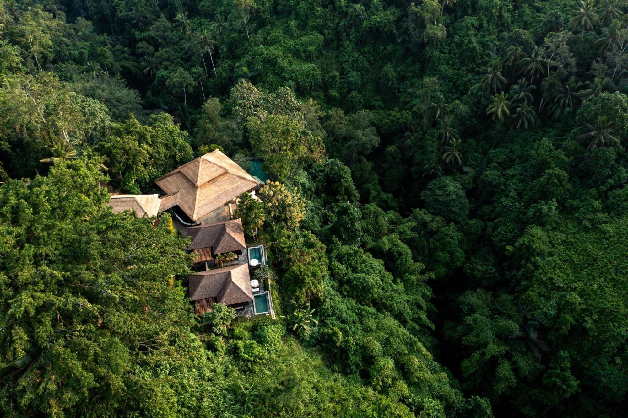 Natura Villa Ubud Eksteriør billede