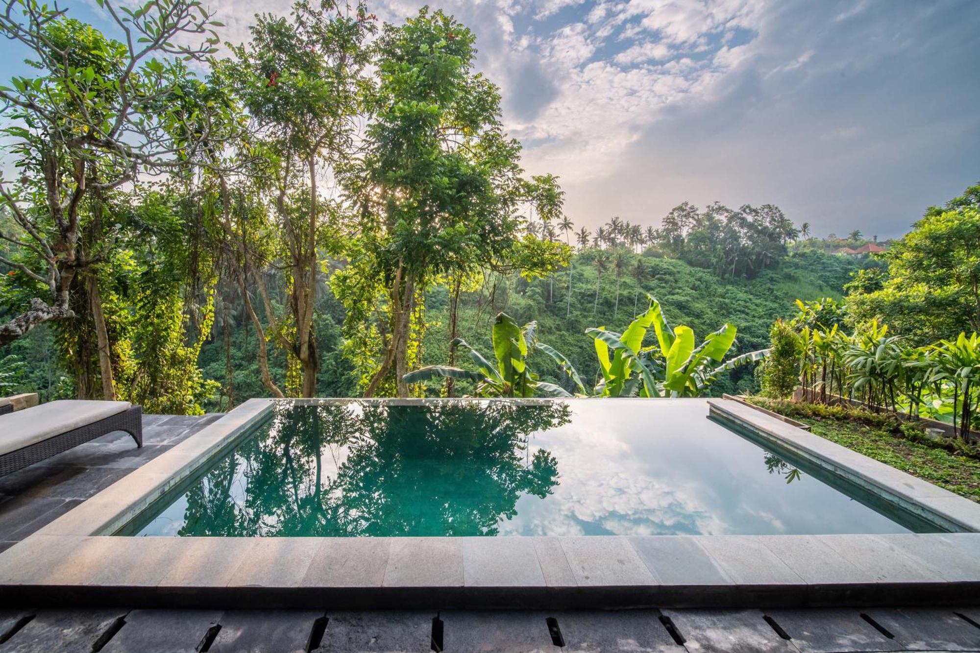 Natura Villa Ubud Værelse billede